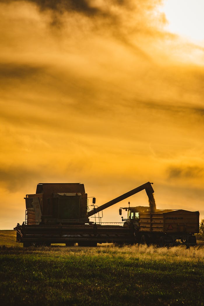 creative-03 Silhouette of a combine harvester unloading grain during sunset in a rural field.